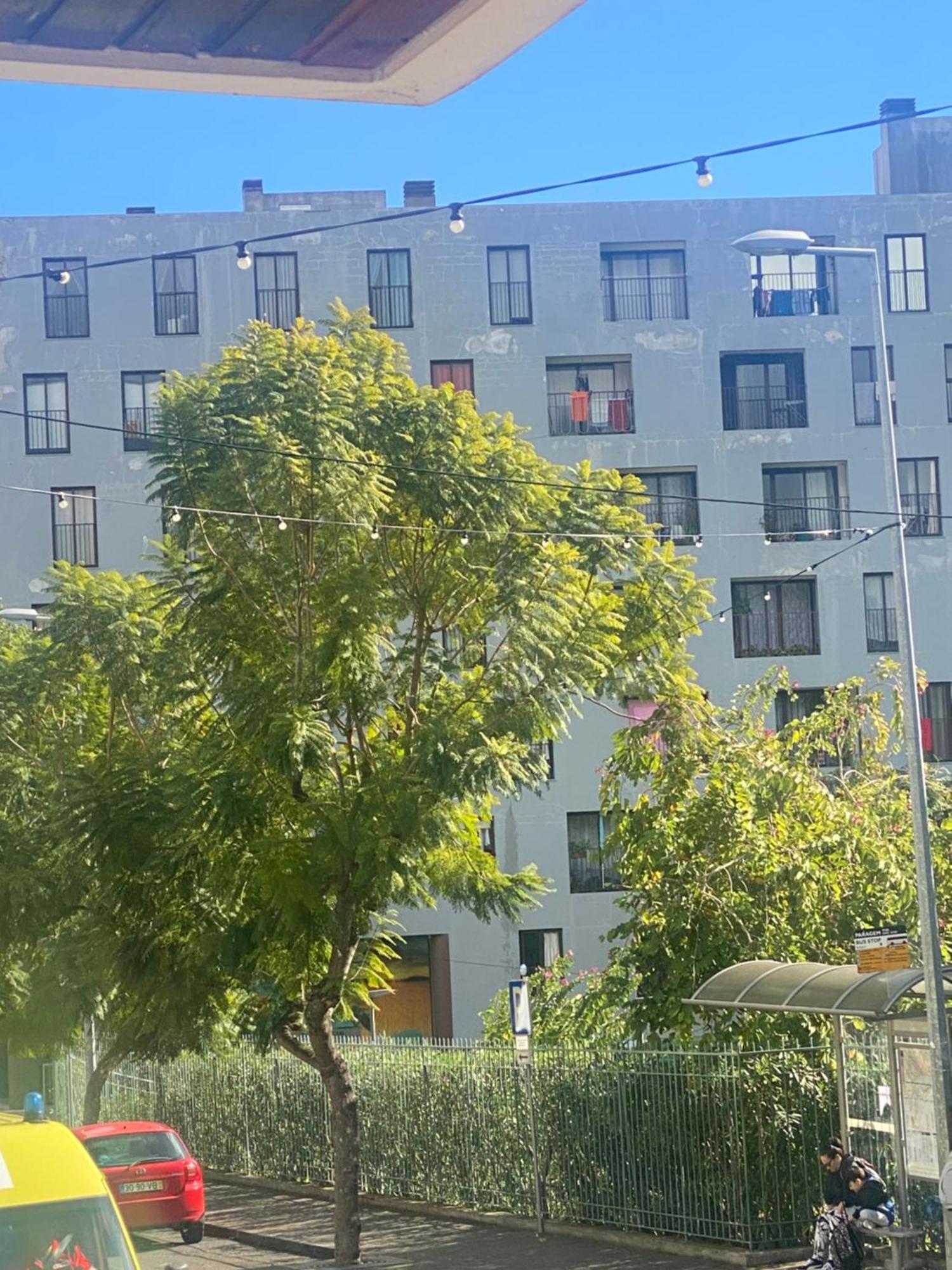 Funchal Varzea Parkアパートメント エクステリア 写真